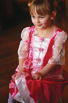 GIRLS PINK PRINCESS POSY COSTUME